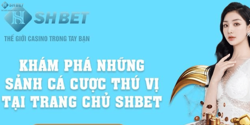 gioi thieu SHBET 2